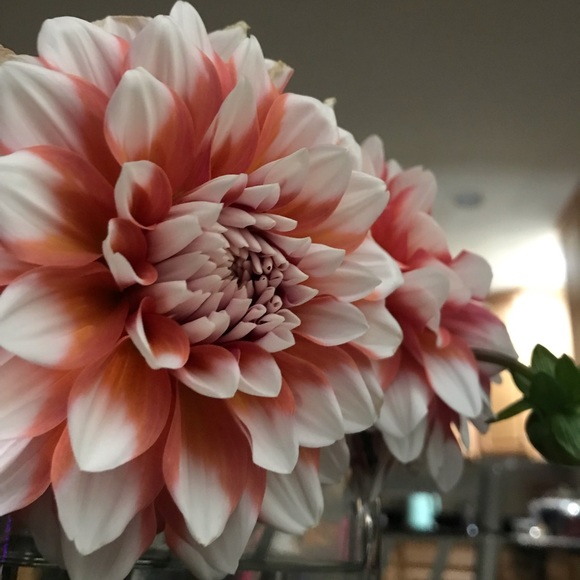 meet me - Picture 9 of 16